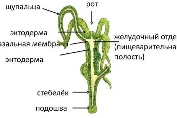 Кракен даркнет тор