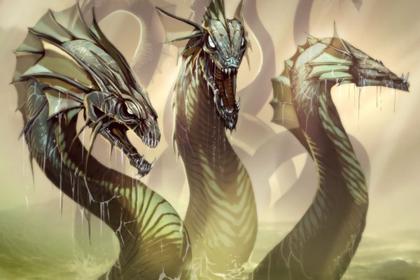 Hydra kraken