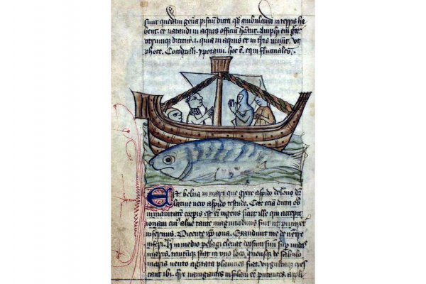 Kraken 24 at