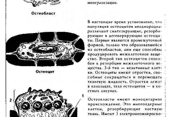 Ссылка на кракен 11