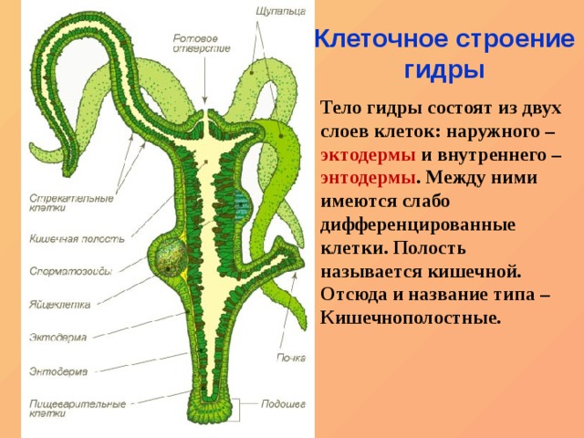 Переход на кракен