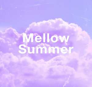 Альбом Mellow Summer исполнителя Various Artists