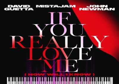 David Guetta, Mistajam, John Newman - If You Really Love Me (How Will I Know)