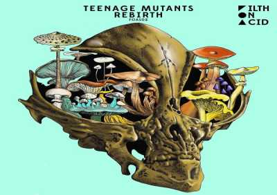 Teenage Mutants - Rebirth