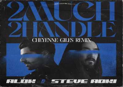 Alok, Steve Aoki - 2 Much 2 Handle (Cheyenne Giles Remix)